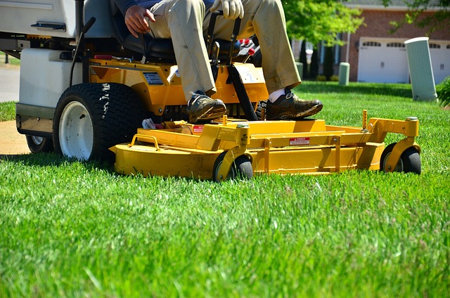 person sitting on a zero turn grass mower