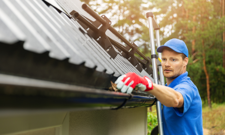 gutter cleaning seo services